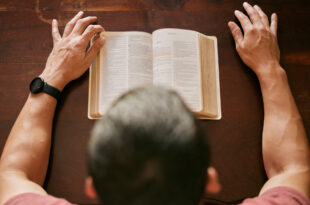 Man studying the Bible