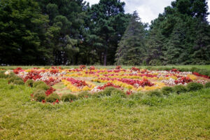 Arboretum with beautiful flowers