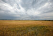 Storm over harvest field, the harvest of souls