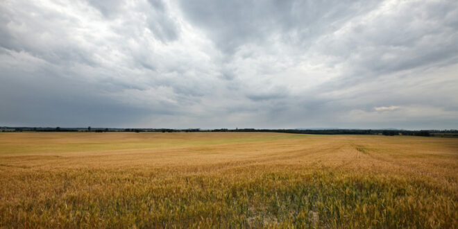 Storm over harvest field, the harvest of souls