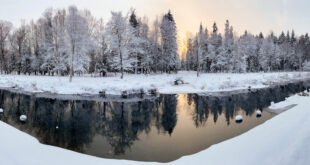 snowy-park-landscape