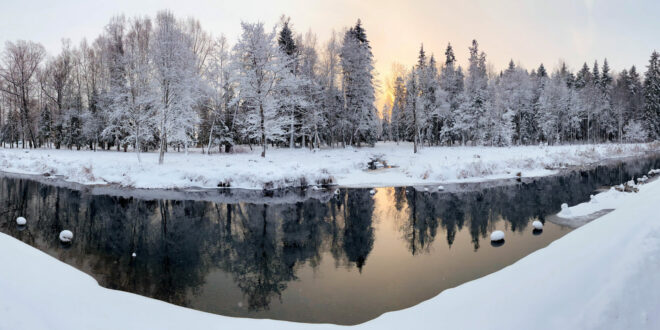 snowy-park-landscape